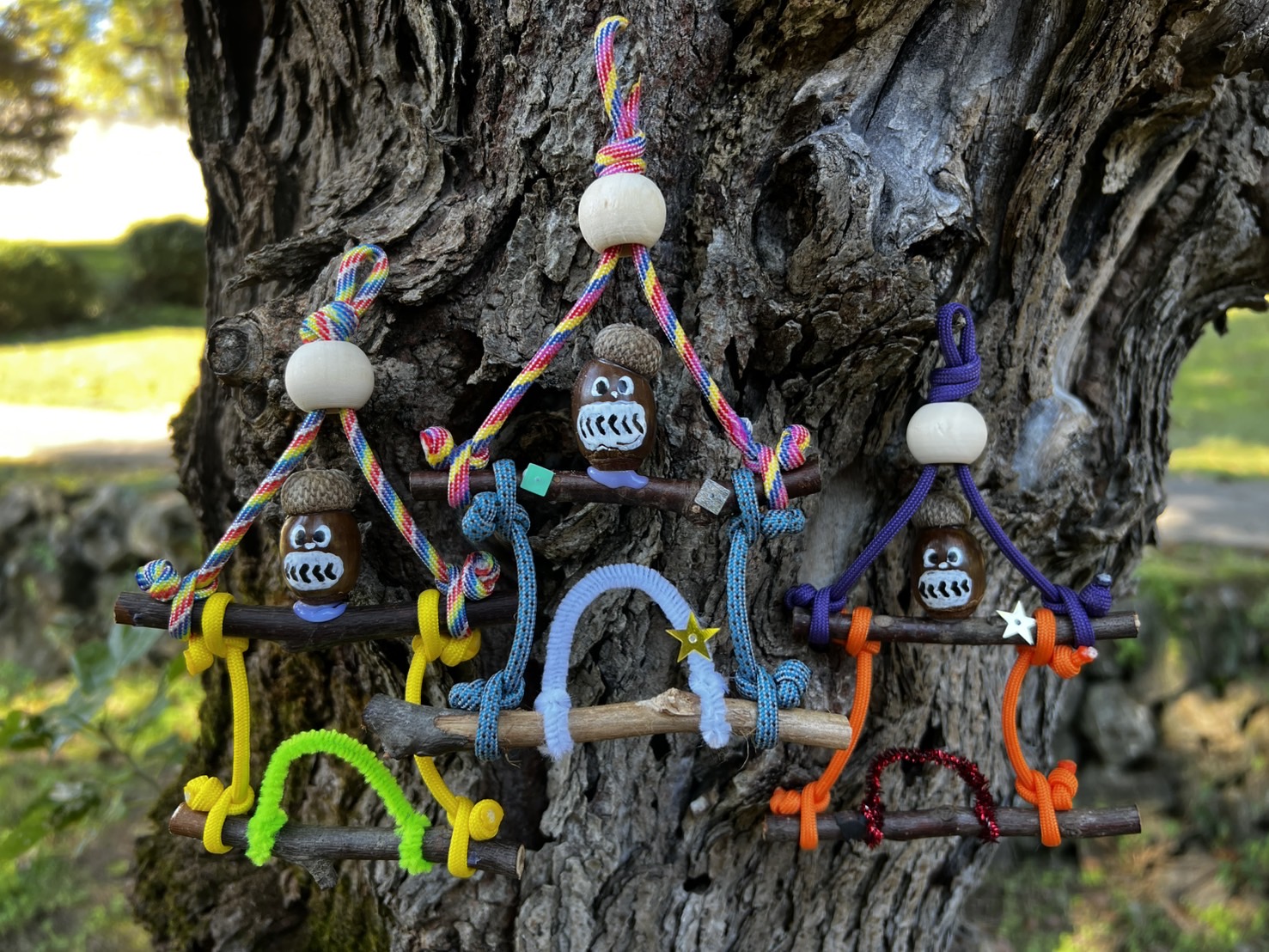 どんぐりハウス