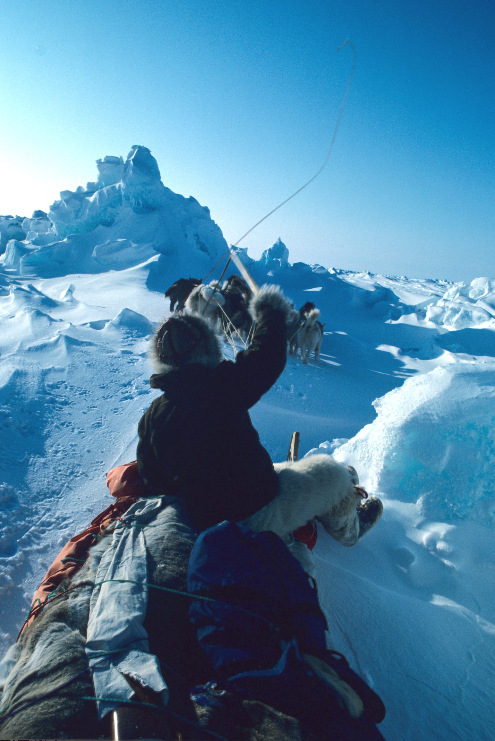 企画展：「ひとり」で進んだ葛藤の犬ゾリ旅 ‐北極点・グリーンランド縦断単独行‐